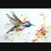 HUMMINGBIRD and FLOWER Painting - Watercolor Print