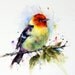 SONGBIRD Set of 4 Ceramic Coasters