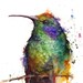 HUMMINGBIRD Watercolor Print by Dean Crouser