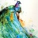 PEACOCK Watercolor Print by Dean Crouser