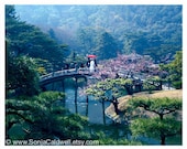 Japanese Tea Garden - Japan - bridge, traditional, home/office decor, travel photography 8x10 Original Fine Art Photograph