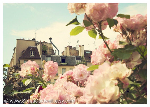 Paris floral photography - Rooftops and Roses - Paris rooftops, pink roses, retro home decor - 5x7 - Original Fine Art Photograph
