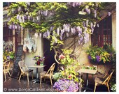 Wisteria Café Paris, sidewalk cafe, restaurant, springtime, outdoor, romantic, kitchen decor 8x10 Original Fine Art Photograph