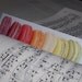 Macarons Bookmark - French Macaron Rainbow Photo Bookmark - 7" x 2" - pearl paper