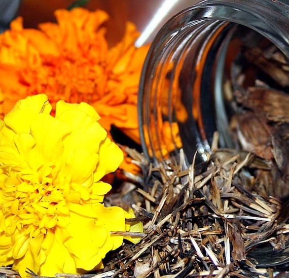 Giant African Marigold seeds by NevaStarr on Etsy