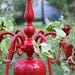 Romantic Red ---- SALE ---- Cottage Chic Planter Chandelier