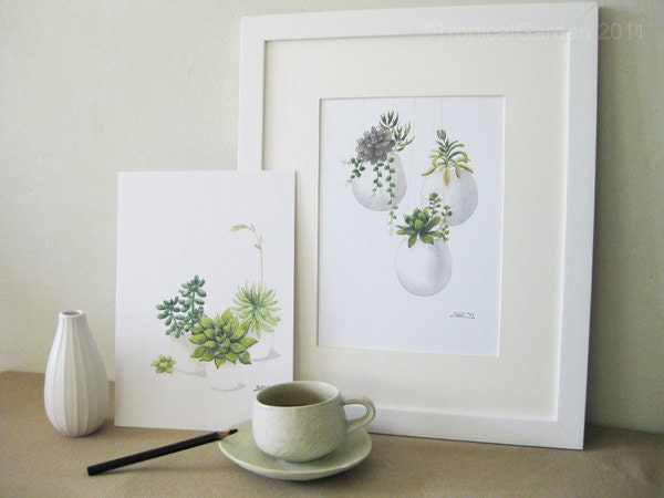 Succulents - Any FOUR 8'x11.5' Fine Art Prints