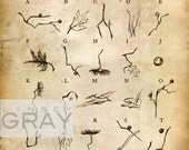 a new language : 11x17 original alphabet print