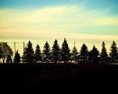 Nature photography, Woodland, Nursery Decor, Forest, Trees, Fine Art Photography Print, home decor, wall art In the woods I get lost 5x7