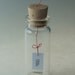 tiny message in a bottle, first love letter