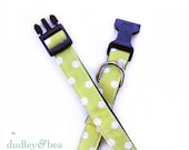 Small Polka-Dot Pet Collar