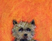 Felix 8.5x11 Print
