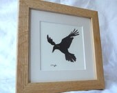 Rook original charcoal sketch, crow series