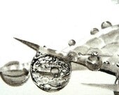 Original charcoal drawing, Sea holly water droplets