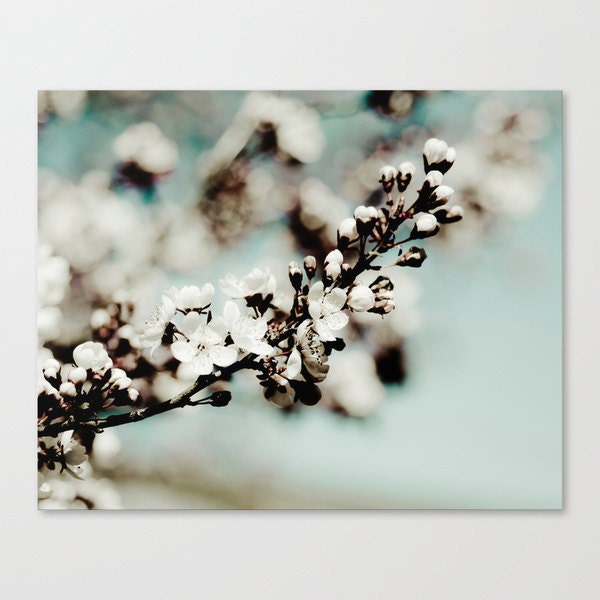 french country robin's egg blue pale blue shabby chic home decor spring garden lover flower photography under 25 "A Moment Awaits"
