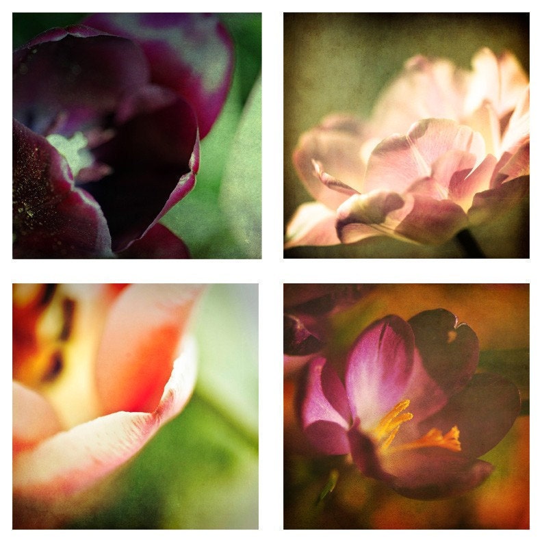 cottage decor gift for her for mom Spring Flower Photography Collection - shabby chic home decor - fine art photograph set 8x8 square photo