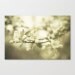 french country decor sage green home decor under 50 "Pearly Hues" 8x10 fine art nature photo cherry blossoms tree photography