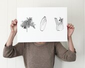 Dill Endive Fennel ABC art print 13 x 19 -  from the Vermont Farmers' Market Series