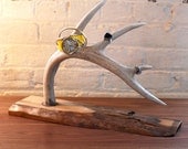 Naturally shed deer antler jewelry stand or decoration(made to order)