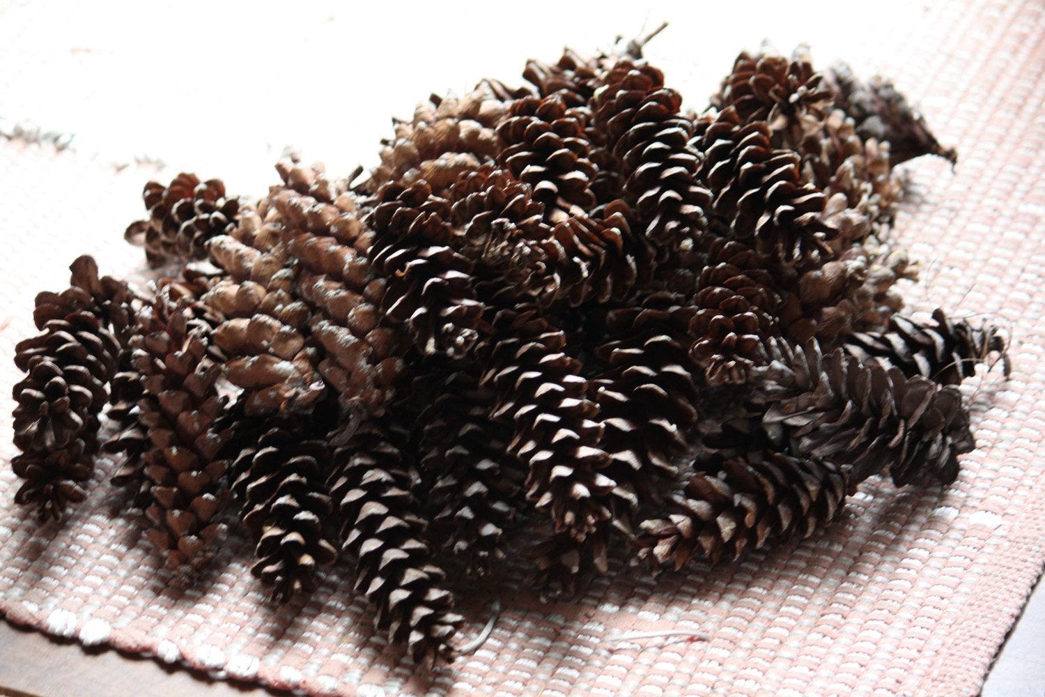 Real Pinecones - 20 Medium Natural Gathered CT Pinecones - Nature, Home Decor, Holiday, Fall Harvest, Autumn, Rustic, Centerpiece elitett