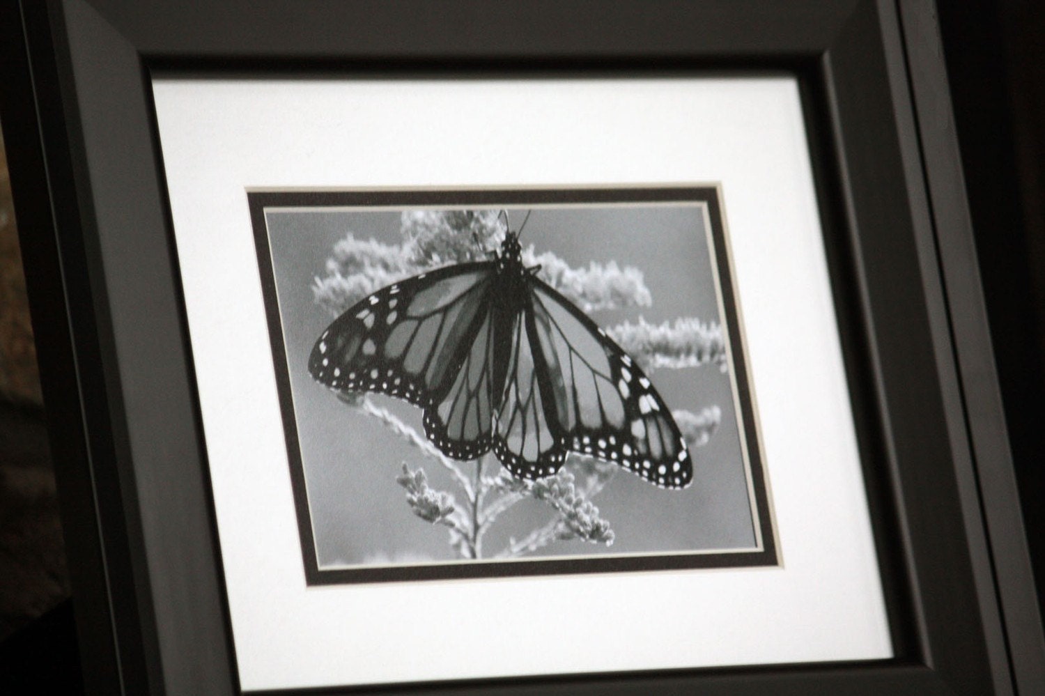 Items similar to Beautiful Black and White Butterfly Framed and