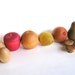 Natural Wood Toy -FARMERS MARKET- Solid Wood Pretend Kitchen Food Toy