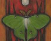 Luna Moth Painting 11 x 14 Fine Art Signed Print Butterfly Full Moon Bird Wings Flying Insect Night Nocturnal Magic