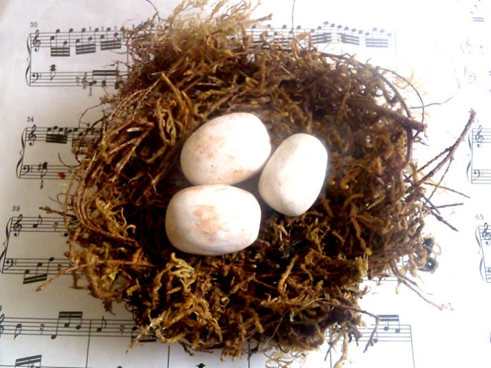 Shabby Chic - Natural Looking Bird Nest - Country Nest w/ Three Eggs - 6 Inch Nest