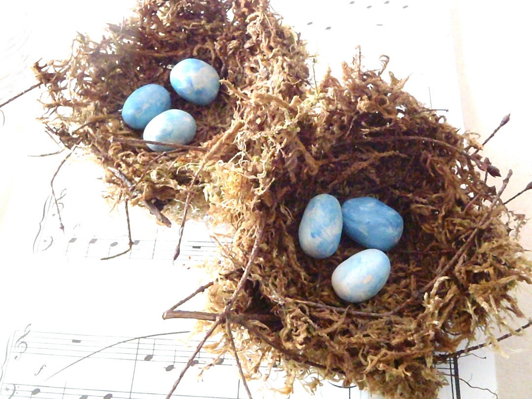 Country Cottage Handmade Birds Nests - 3" nests w/ blue eggs, set of TWO - Womens spring gift