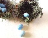 Birds Nests -Woodland Green  - primitive handmade 3" nests w/ blue eggs, set of TWO