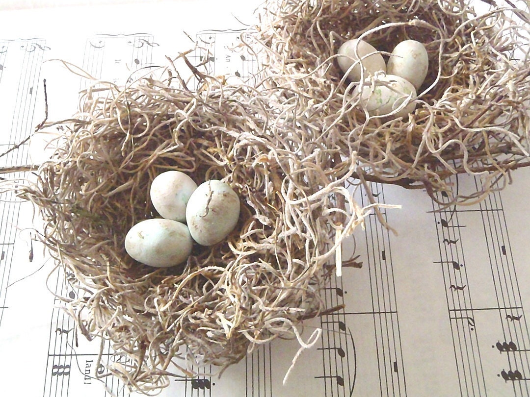 Bird Nests Handmade Shabby Chic - 3" spanish moss nests w/ white eggs, set of TWO - lovely gift