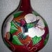 Puple-Throated Carib Hummingbirds Painted Gourd Birdhouse Humming around the Hibiscus