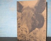 Barnyard Animals - Set of 3 note cards