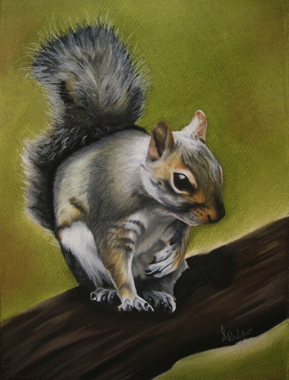 Items similar to Pastel Drawing Forest Squirrel Wildlife Fine Art ACEO