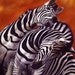 An Original Pastel African Zebra Stripes Wildlife Original Art