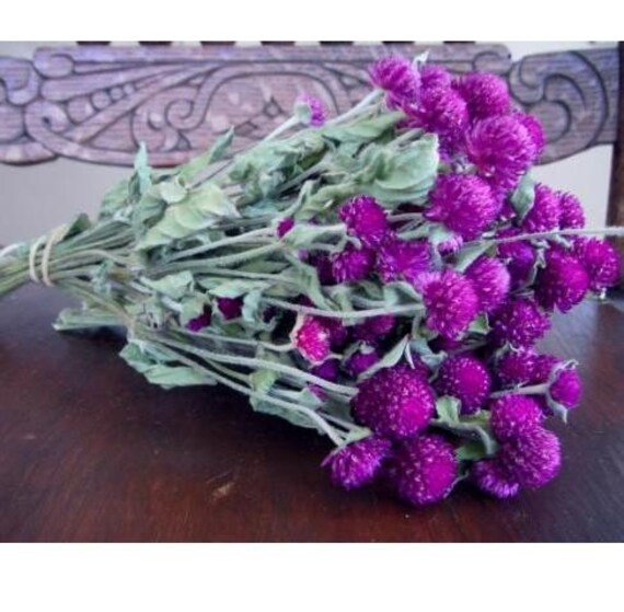 dried purple flowers