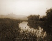 Redwing Blackbird - Fine Art Print of Sepia Toned Photograph