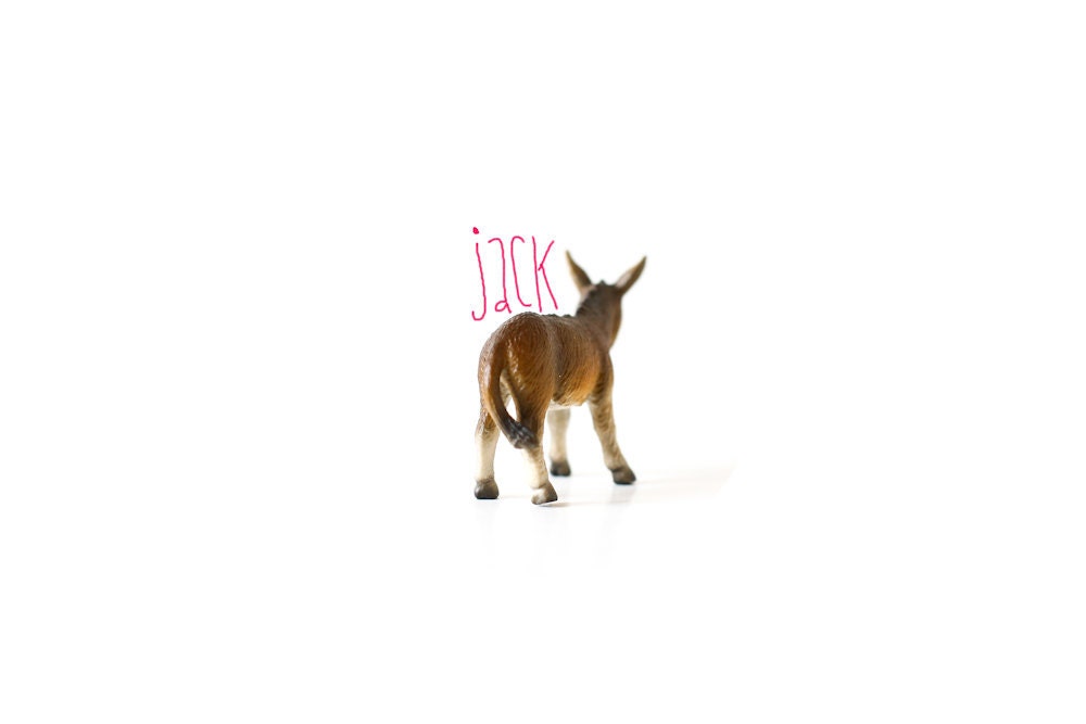 Donkey One Inch Button