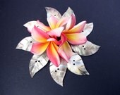 Tropicana Shell Leaf Buttons 6pcs