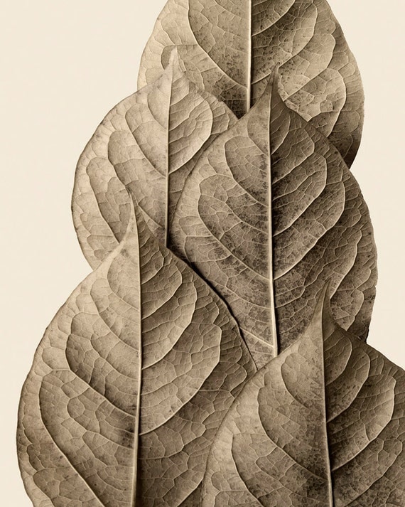 autumn leaf art, earth tone autumn leaves, fall decor - Monument 8 x 10