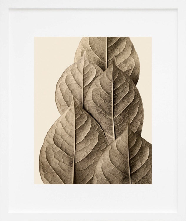 autumn leaf art, earth tone autumn leaves, fall decor - Monument 8 x 10