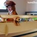 Noah's Ark Wooden Rail and Organizer for Kids' Beds, Size medium, color natural birch