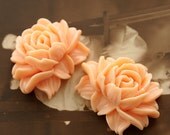 SALE-2PCS Wholesale Beautiful  Vintage Big Rose   Flower Resin Cabochon   -- (CAB-C -5)