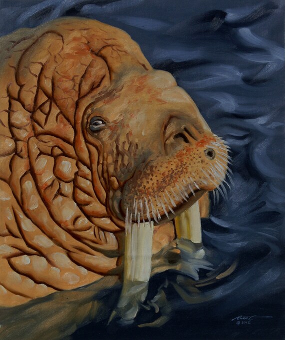 Walrus wildlife carnivore animal 24x20 oils on canvas by rustyart