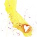 California Love
