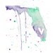 Florida Love