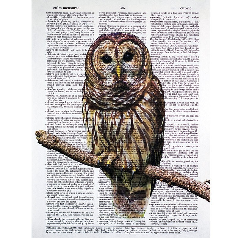 Barred Owl Vintage Print On An Antique Dictionary Page