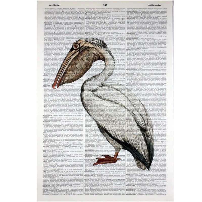 Pelican Print on an Antique Book Page