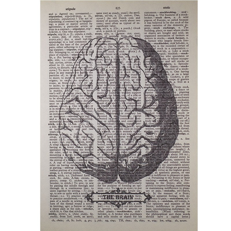 Brain Print