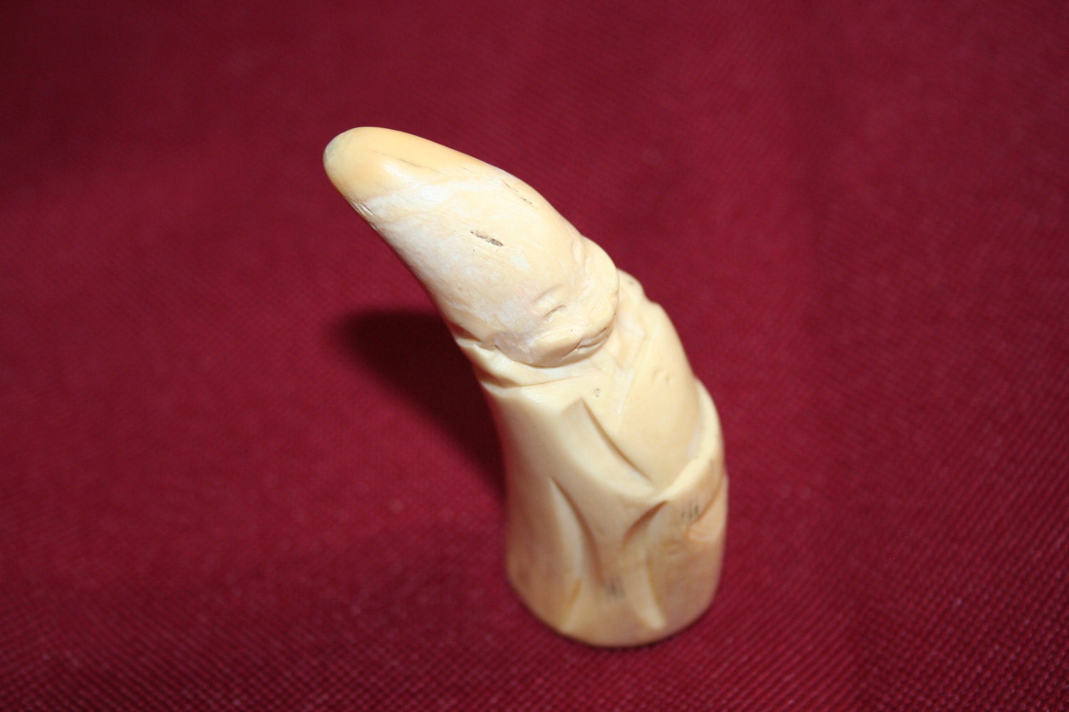 Orca+Tooth+for+Sale http://www.pic2fly.com/Orca+Tooth+for+Sale.html